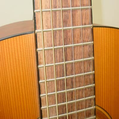 Cordoba CP110 Iberia Series Nylon String Classical Acoustic Guitar image 7