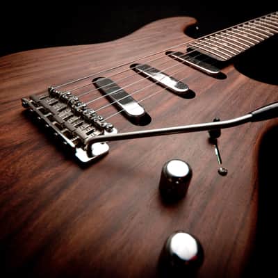 Custom Made Stratocaster - Extremely EXOTIC Rosewood Body w/Goncalo Alves & Macassar Ebony Neck image 2