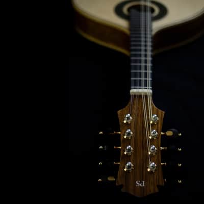 Pedro Santos 8-String Mandolin | Brazil Bild 8