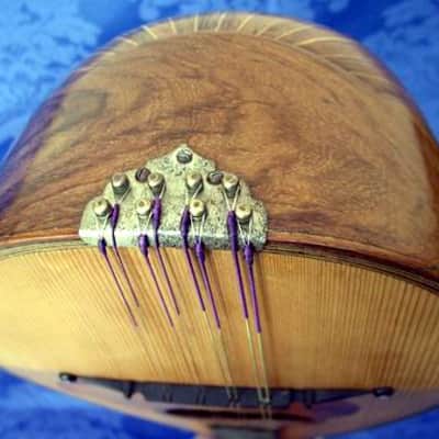 F.lli Vinaccia Mandolin 1927 Made in Italy image 5