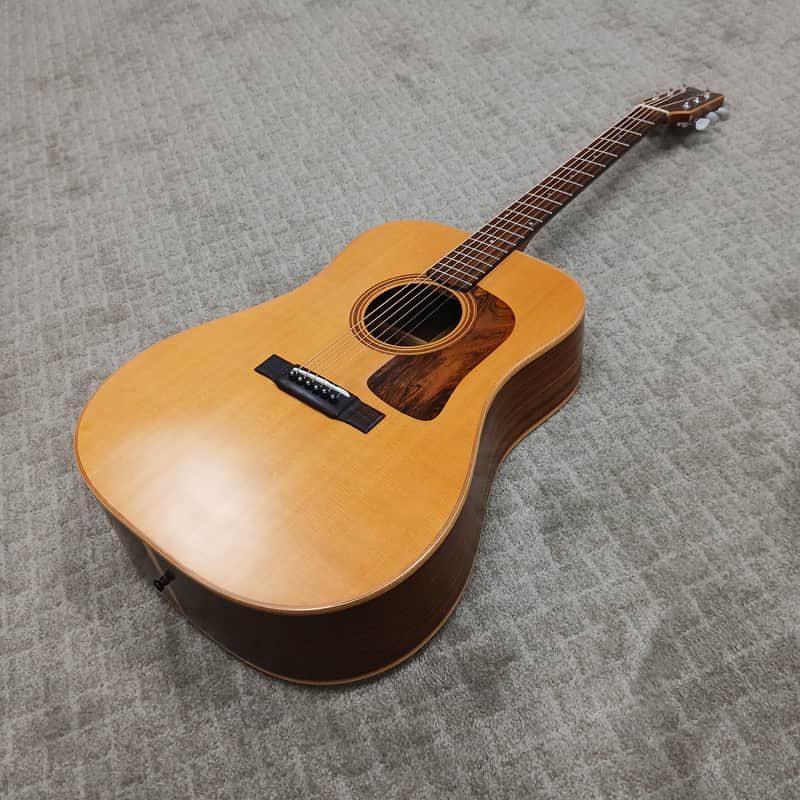 1995 Washburn D-68SW w/ Hard Shell Case image 1