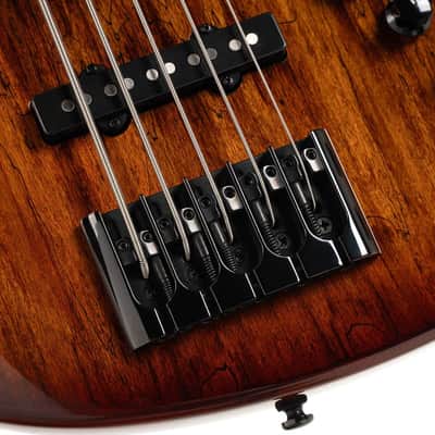 Cort GB-Fusion 5 Antique Brown Burst w/Gigbag image 6