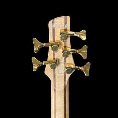 Ibanez SR405EPBDX 5-string Bass Guitar - Tropical Seafloor Burst image 7