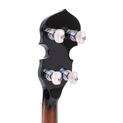 Gold Tone Professional Special Plectrum Banjo w/ Case image 8