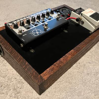 Custom Acoustic Guitar Pedalboard image 5