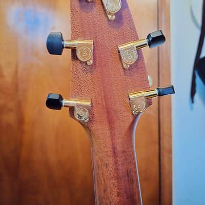 Breedlove C10/SE 2003 Striped Macassar Ebony image 7