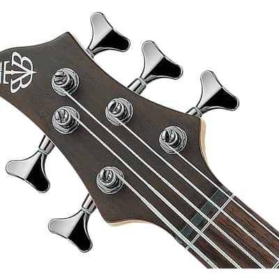 Ibanez BTB605TGF BTB Standard 5-String Bass Guitar - Transparent Gray Flat image 4
