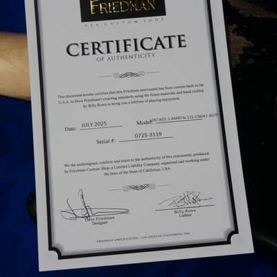 Friedman USA Custom Shop Vintage S in Silver Metallic Stars over Black image 12