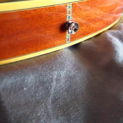 SG Style Acoustic-Electric image 4