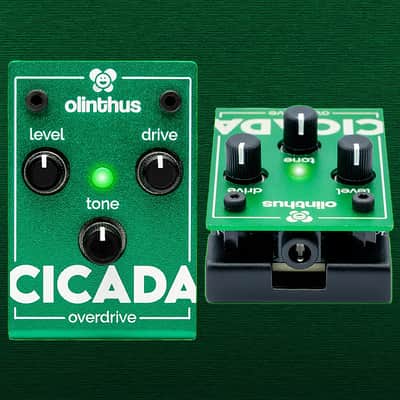 Immagine Cicada Overdrive - Mini "Tube Screamer" Pedal - 4