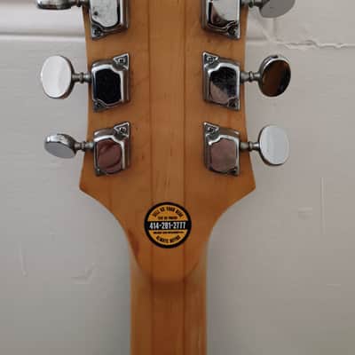 Epiphone FT-570BL (1974) image 5