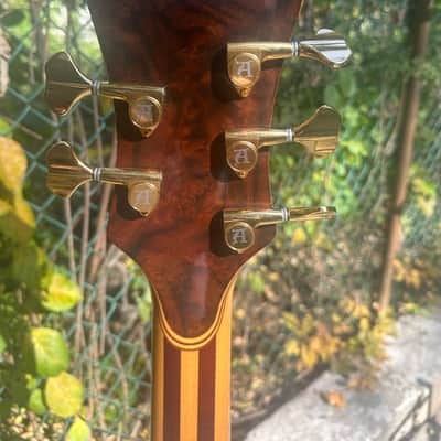 Custom Alembic Fretless 5 String Omega Heart w/LEDs image 7