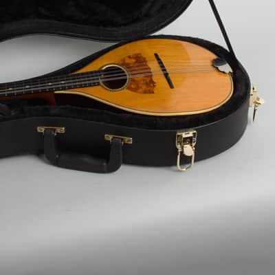 Vega  Style 201 Flat Back, Bent Top Mandolin (1916), ser. #34381, black tolex hard shell case. image 13