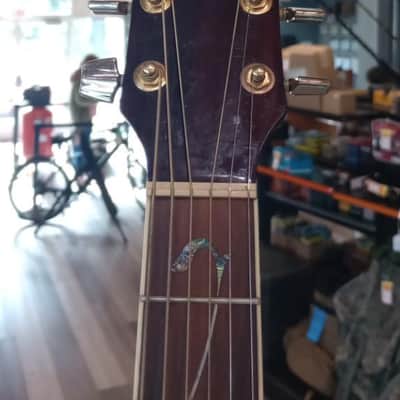 Ibanez Artwood Series AW40-NT Acoustic Guitar - Gorgeous “Vine of Life” Inlay image 4