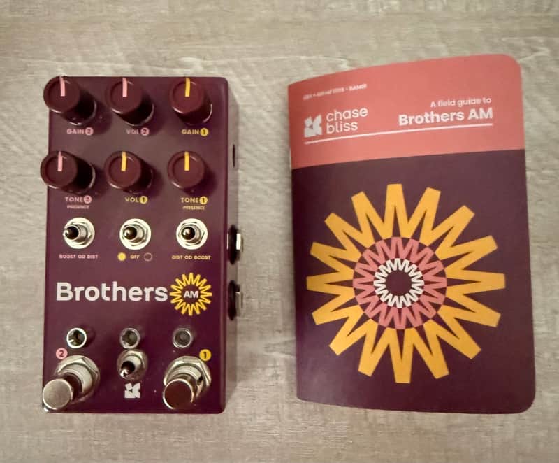 Chase Bliss Audio Brothers AM
