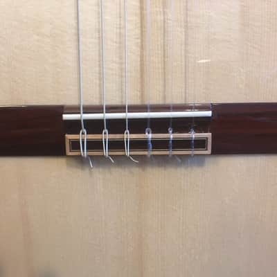Hill New World Classical Guitar w/Elevated Fingerboard-Brand New! image 12