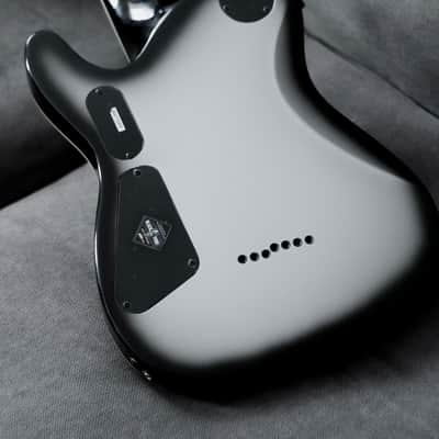 Schecter PT-7 Chris Garza Signature 7-String Silverburst image 4