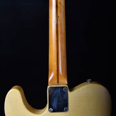 Fender Telecaster 1952 Blackguard Butterscotch Blonde image 7