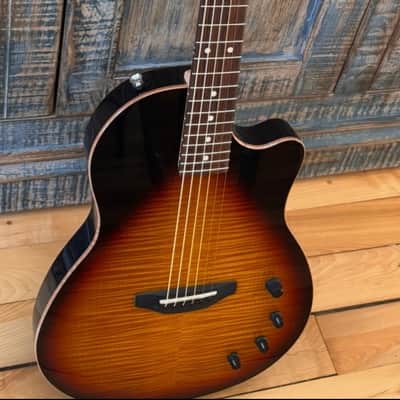 Tom Anderson Guitarworks Crowdster Player image 7