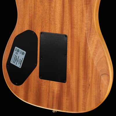Fender American Acoustasonic Strat Natural Ebony Fingerboard (196) image 2