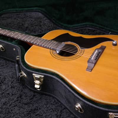 Eko Ranger VI Electroacoustic (Hard Case included) image 1