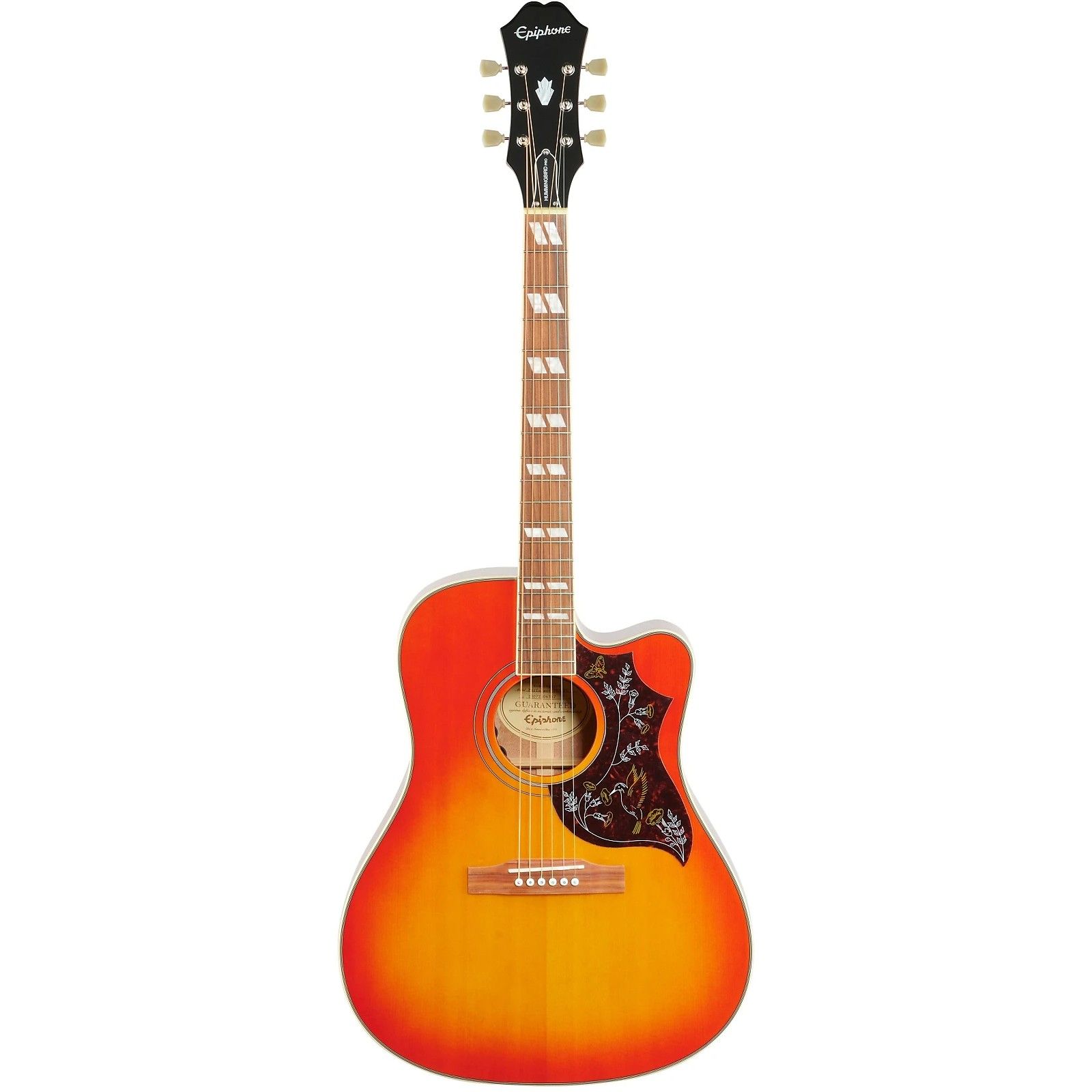 Epiphone Hummingbird Performer PRO | Reverb