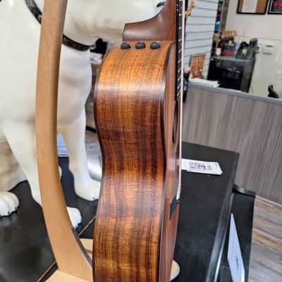 Taylor 724ce 2022 - Present - Natural image 5