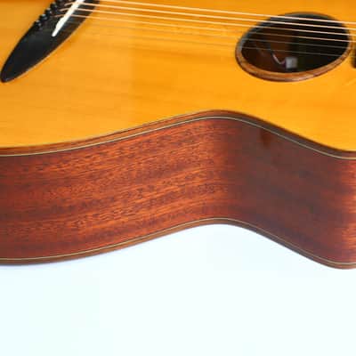 Schertler SM Acoustic Guitar – A Rare Gem in Electro-Acoustic Innovation - check video! image 15