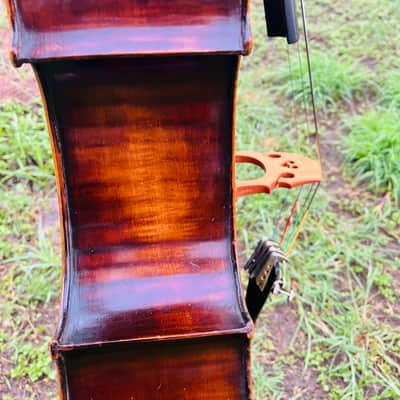 Immagine Giuseppe Petrazzini Cello 1890's Italian Labeled - 13