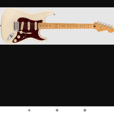 Fender Stratocaster Player Plus w/hardshell case image 4