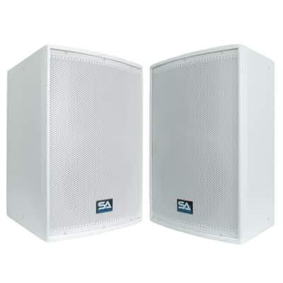 Seismic Audio Arctic 12 Passive 1x12" 300w Speakers (Pair)