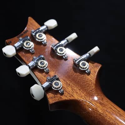 PRS DGT (David Grissom Trem) Charcoal with Bird Inlays Electric Guitar w/Case image 16