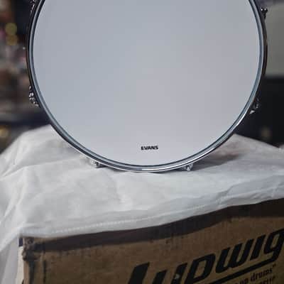 Ludwig Classic Maple 2026 - Vintage Black Oyster image 9