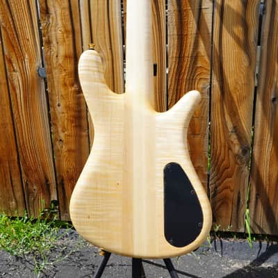Spector USA NS-5XL - Curly/Flame Solid Wings Oil Finish Left-Handed 5-String Bass Guitar w/ Black Tolex Case (2023) image 15