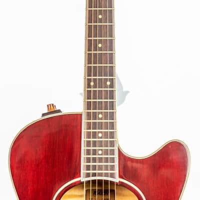 Daion The Year Series '81 Caribou - Wine Red (WR) - Electric Acoustic Six String image 2