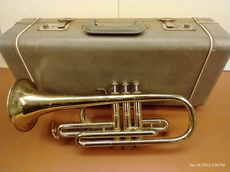 York Senator Cornet image 1