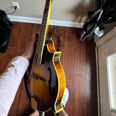 Aleyas  LF5 2026 image 6