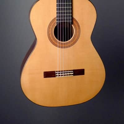 Steven Walter Guitars Concert image 2