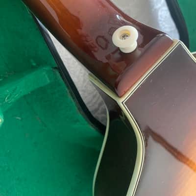 hofner 5001 / m  1967 sunburst image 10