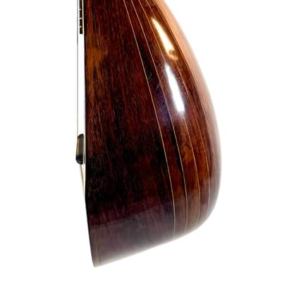 Neapolitan Mandolin G. Kasermann Style 1920's image 7