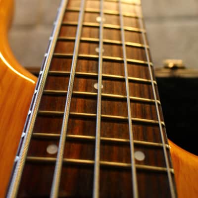 Fernandes APB-5 FRB 100 String Bass 1993 Vintage Natural Made in Japan image 23