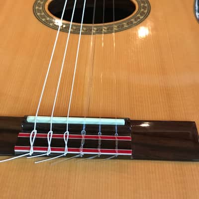 Di Giorgio Tarrega 2014 Beautiful Bossa Nova Classical Guitar | Reverb