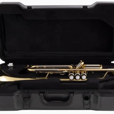 Bach BTR302 Student Trumpet - Clear Lacquer image 8