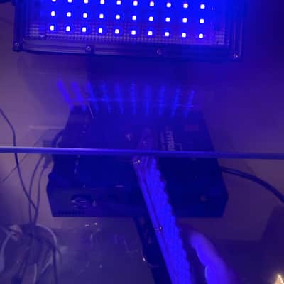 Immagine Mountable UV Black Light - Black - 5