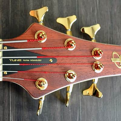 TUNE Hatsun TWB63 PD - 6 String Bass - Padauk Top - NEW - Canadian Dealer image 4