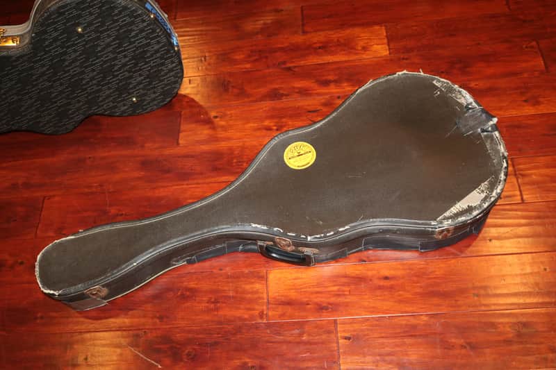 Gibson ES-330. ES-335, Casino Soft case 1966-1969 image 1