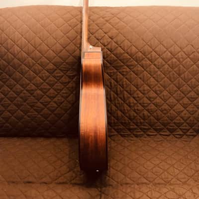 Cort COREOCOPLB Venetian Cutaway Solid Blackwood Top 6-String Acoustic-Electric Guitar w/Deluxe Case image 3