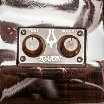 Daion MUGEN Mark I / 12 String w/ Factory Transducer Pickup image 23