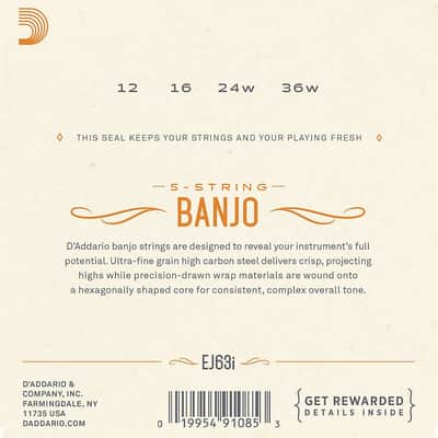 D'Addario Irish Tenor Banjo Strings EJ63i Medium Loop End image 2