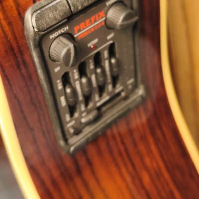 Parkwood PW-560 Electrified with Gigbag image 14